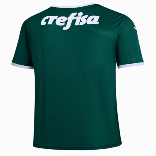 Camiseta Sociedade Esportiva Palmeiras Primera Equipación 2022 - Beazl.com