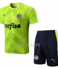 Camiseta de Entrenamiento Palmeiras 2022/23