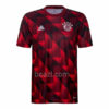 Camiseta Prepartido Bayern Munich 2022/23 - Beazl.com