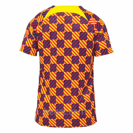 Camiseta Prepartido de Barcelona 2023/24 - Beazl.com
