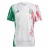 Camiseta Prepartido de Italia 2023/24 - Beazl.com